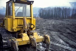 La forêt peut très bien vivre sans l'homme