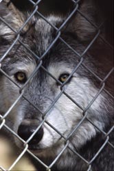 Lettre ouverte à M. le Préfet de la Drôme