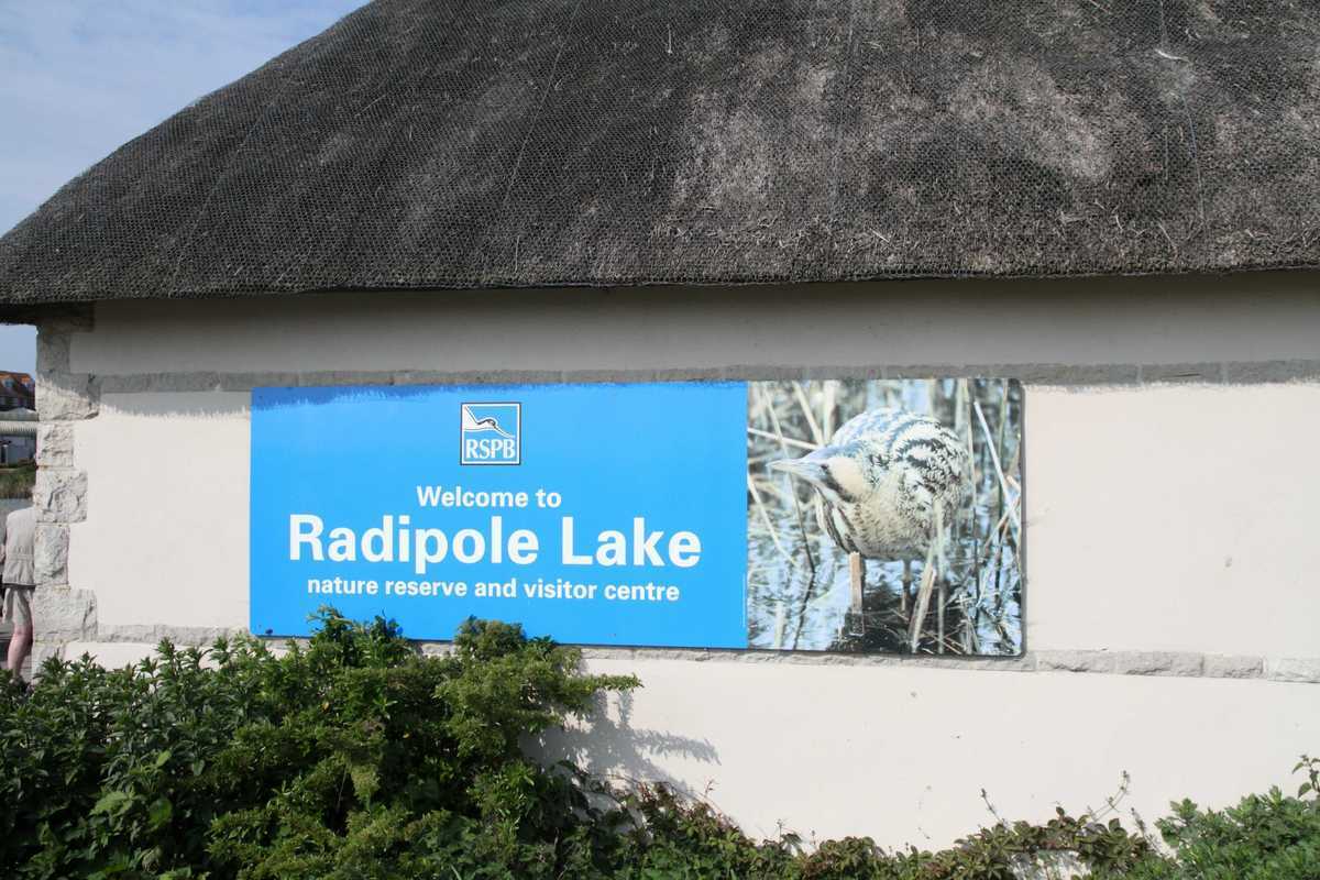 Voyage d'étude zones humides en Angleterre