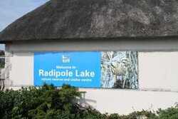 Voyage d'étude zones humides en Angleterre