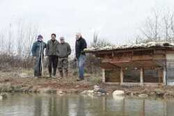 Observer et photographier la faune sans déranger