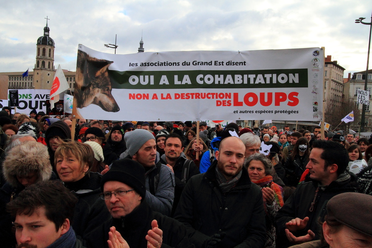 Manifestation contre la chasse aux loups