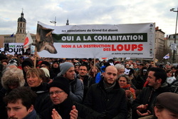 Manifestation contre la chasse aux loups